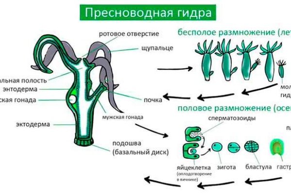 Даркнет вход