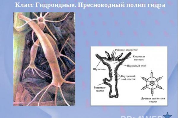 Как пополнить кошелек на кракене даркнет