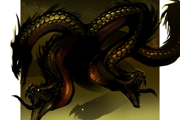 Kraken 11at