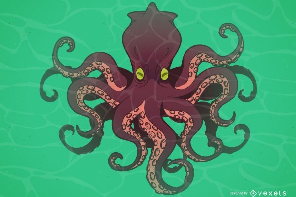Kraken 18