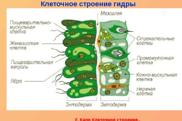 Kraken 13 at сайт