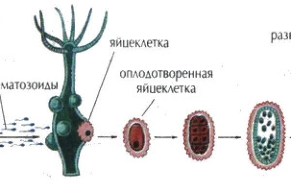Кракен площадка зеркало