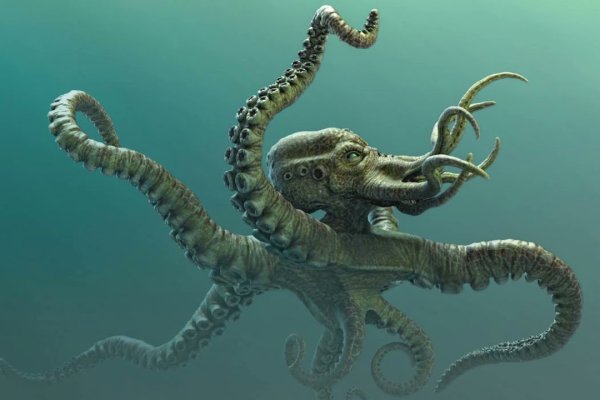 Kraken dark