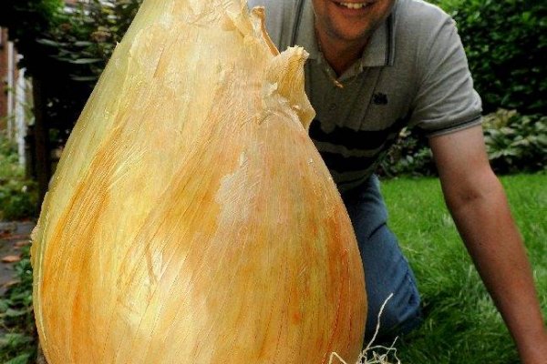 Ссылка кракен официальная тор
