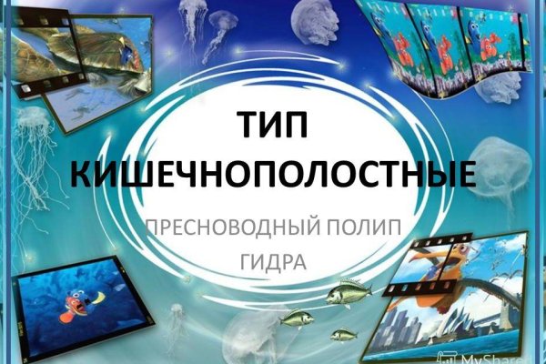 Логин и пароль от кракен