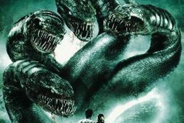 Kraken dark market